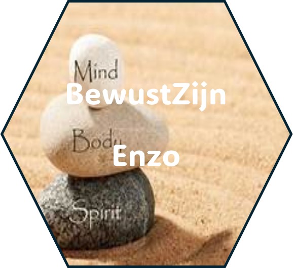 bewustzijn enzo